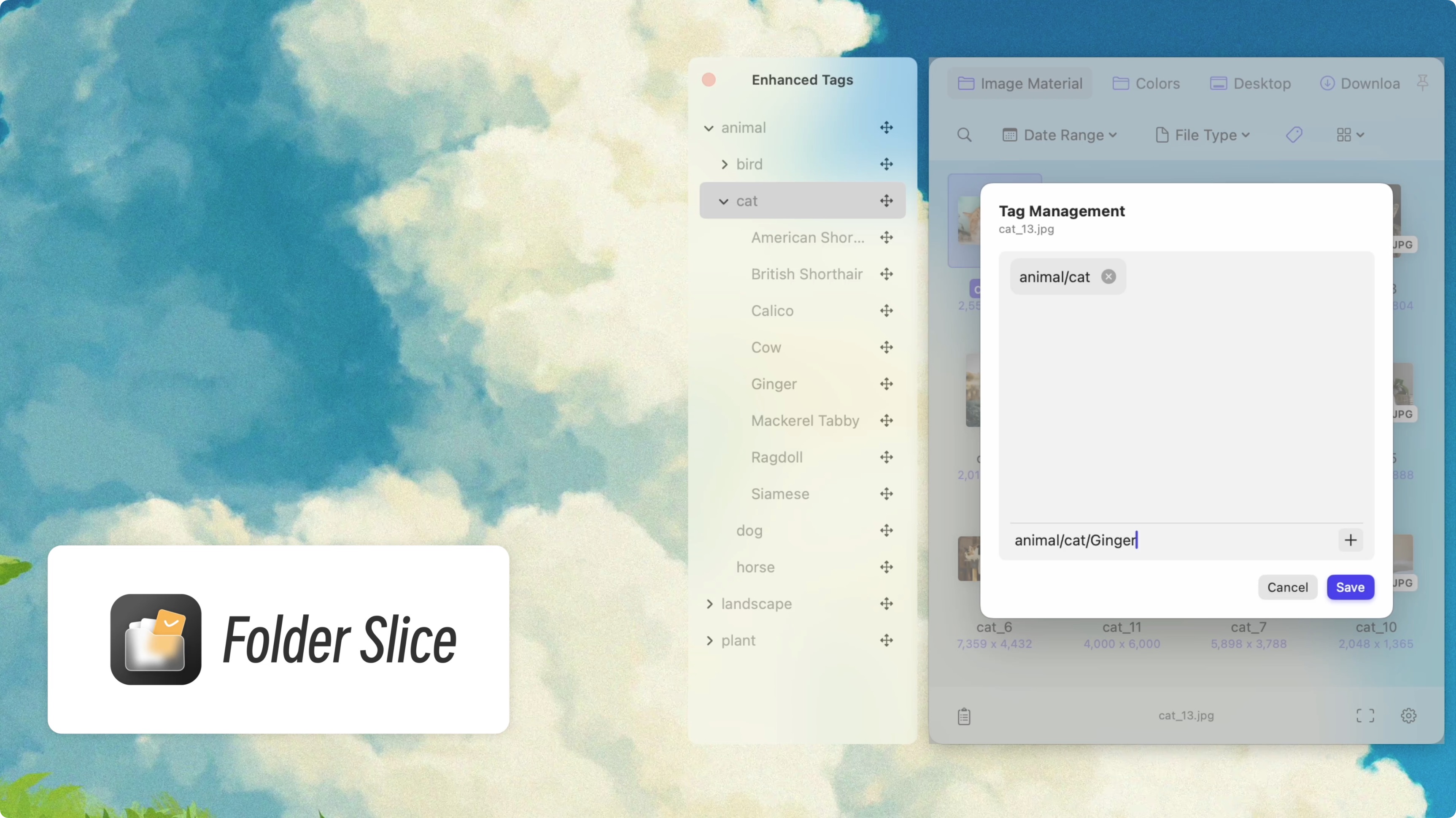 單張圖片加標籤