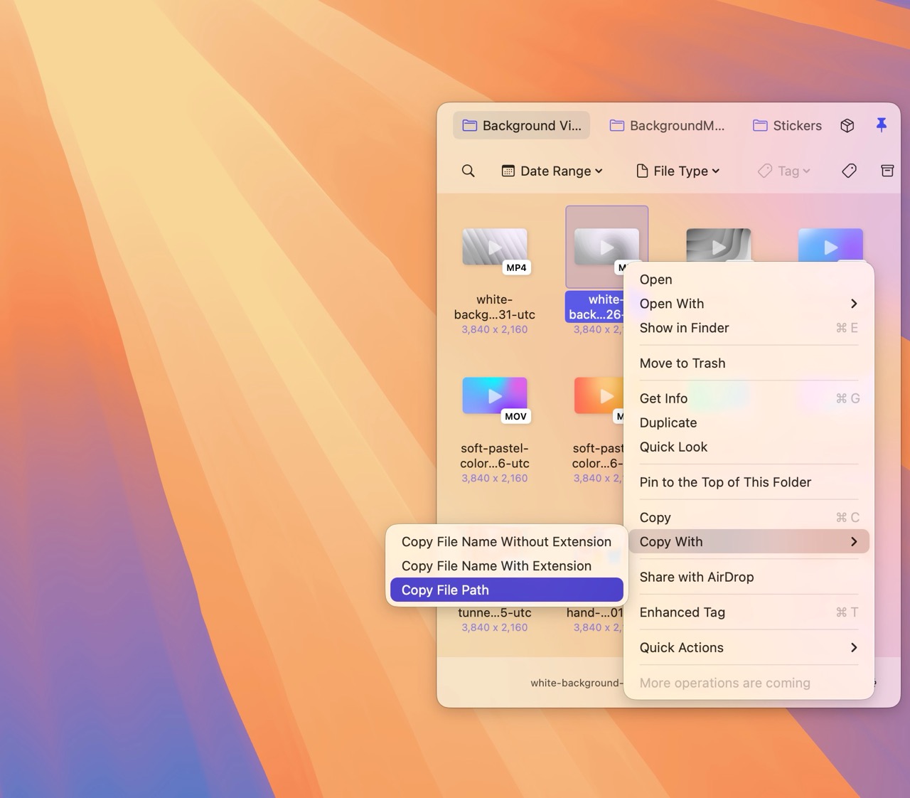 Quickly Copy File Info in Folder Slice
