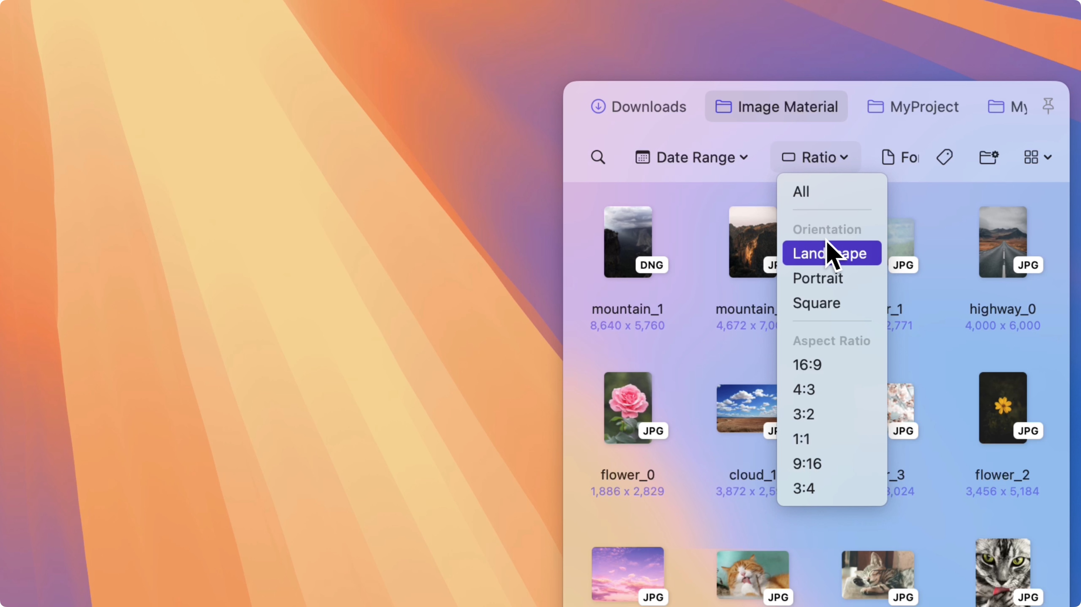 Quickly filter horizontal images in Folder Slice's Image Assets Mode