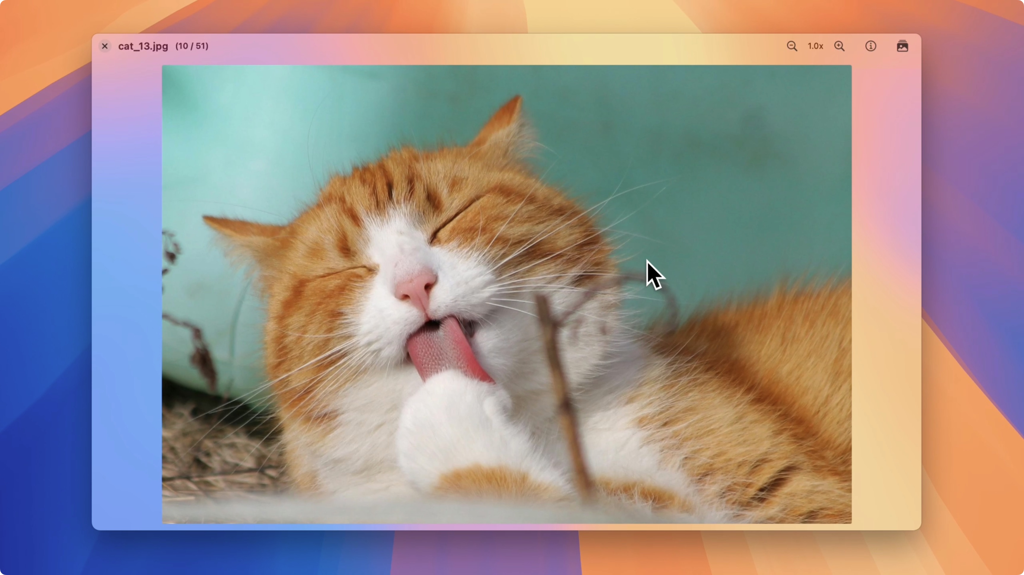 Use the image viewer in Folder Slice to view images