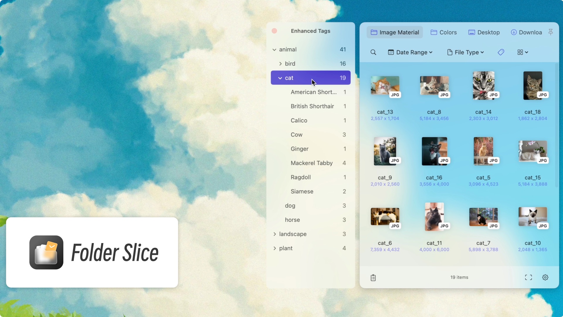 通過多級標籤檢索圖片