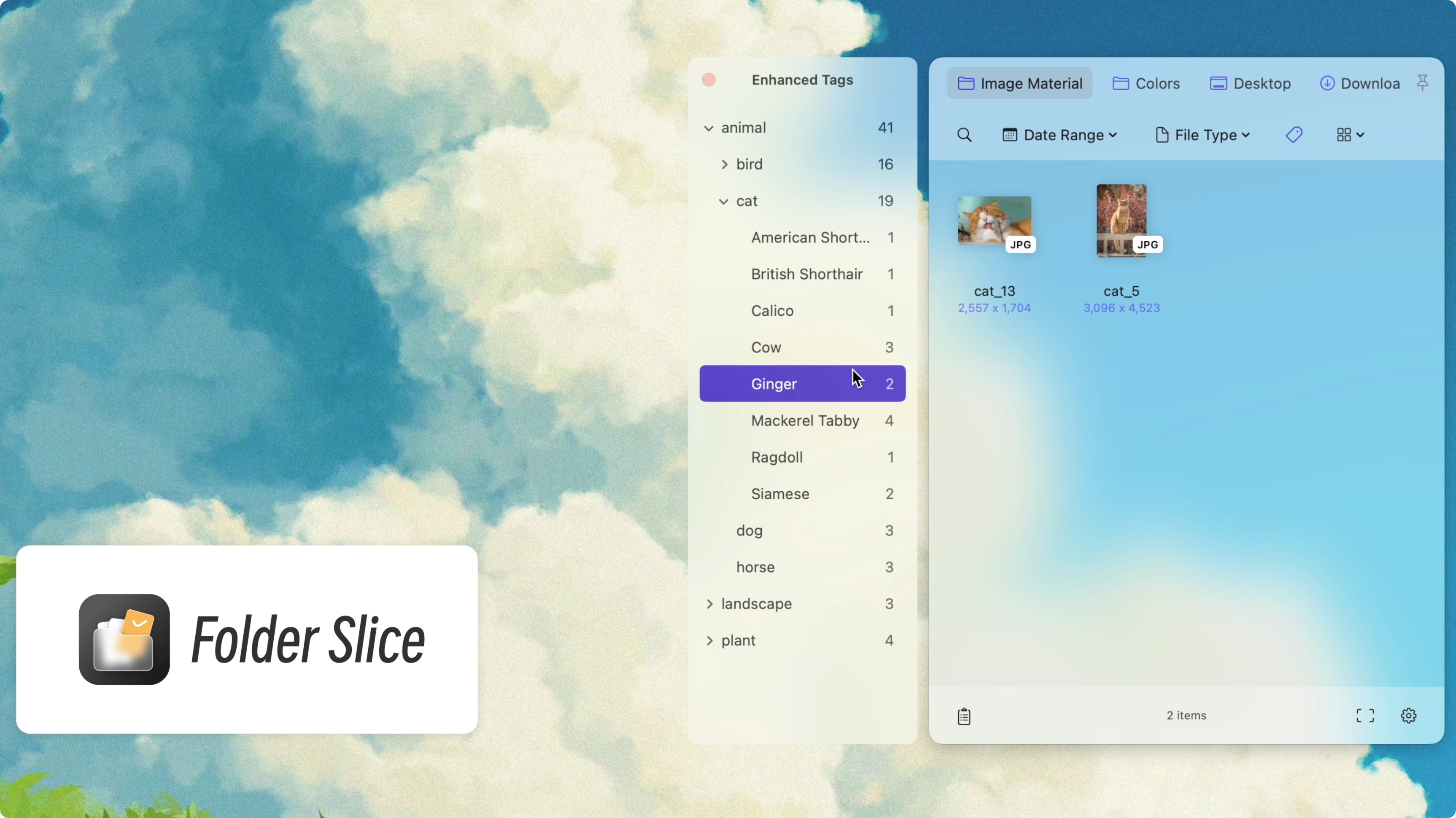 通過細分標籤檢索圖片